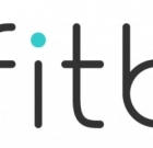 Fibit — все, что вы хотели знать, но боялись спросить. Интервью с Павлом Рисенбергом
