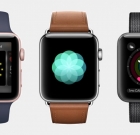 Продажи Apple Watch рухнули на 71%: новый IDC
