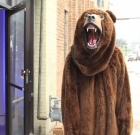 Огромный медведь обнимает вас: он просто хочет, чтобы вы оторвались от своего телефона