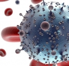 ВИЧ пока нельзя лечить, но можно предупредить — первые тесты новой вакцины