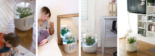 Andrea Plant-based Air Purifier