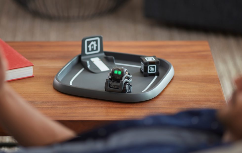 buy vector anki