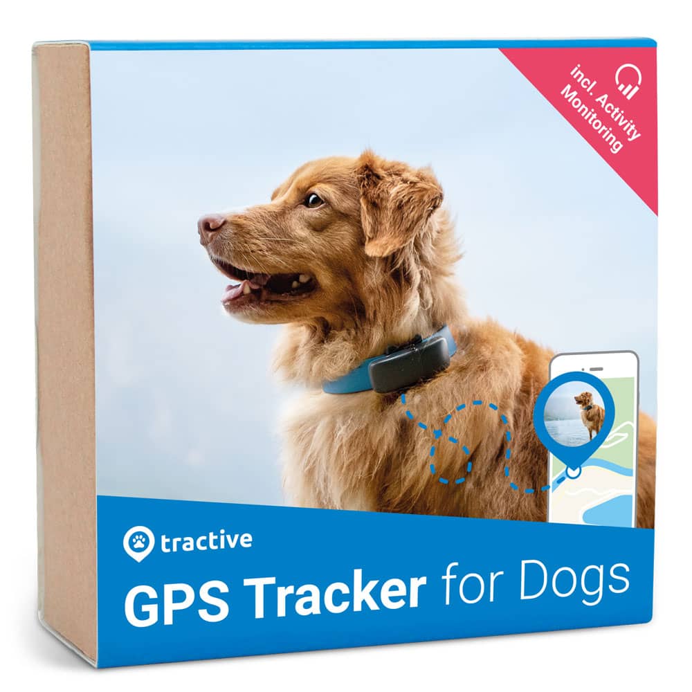 Tractive GPS DOG - GPS-трекер для собак