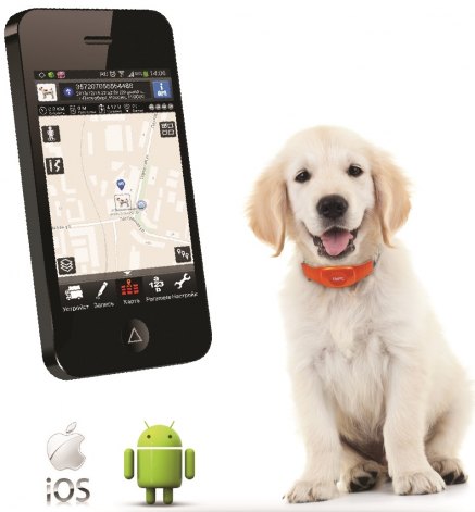 GPS Tracker ошейник для собак и кошек G06